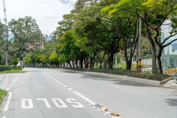 istock Green corridor on Avenida del Poblado. 1317527427
