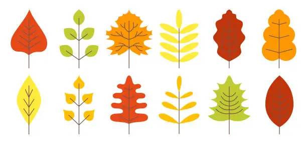 Vector illustration of Flat vector leaves for scrapbooking and notebook