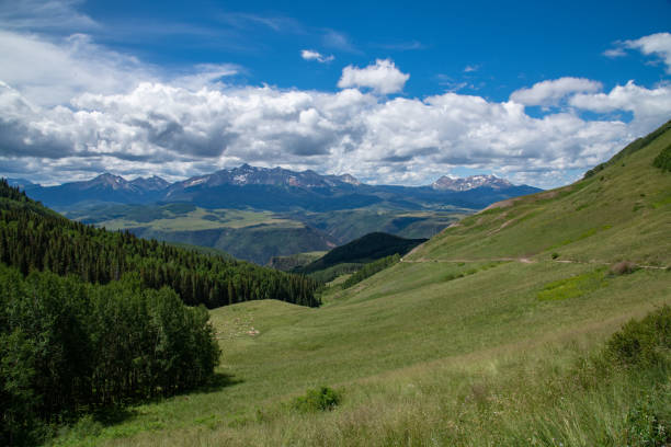 istock Mountain landscape with 4x4 road through aspen trees 1317527610