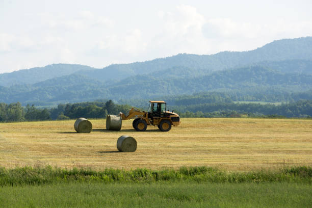 istock Pasture field after mowing with hay bales 1317528360