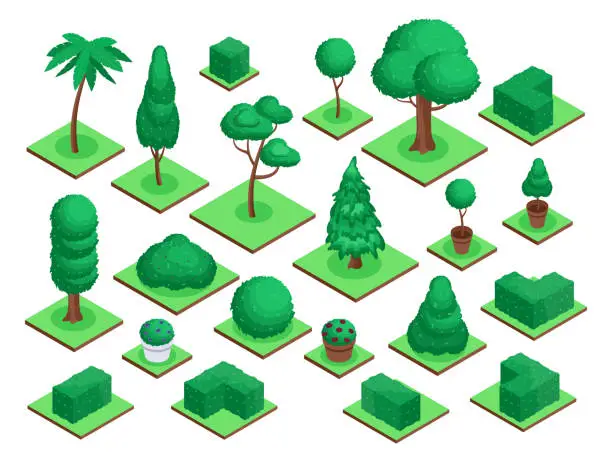 Vector illustration of Isometric 3d trees. City park or forest tree plants, bushes, flowers pots. Spruce, palm tree, garden green fences landscape elements vector set