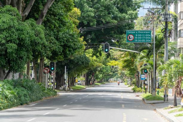 istock Landscape with green corridor in the city. 1317532055