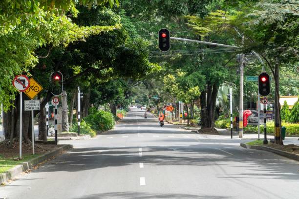 istock Landscape with green corridor in the city. 1317532065
