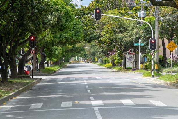 istock Landscape with green corridor in the city. 1317532083