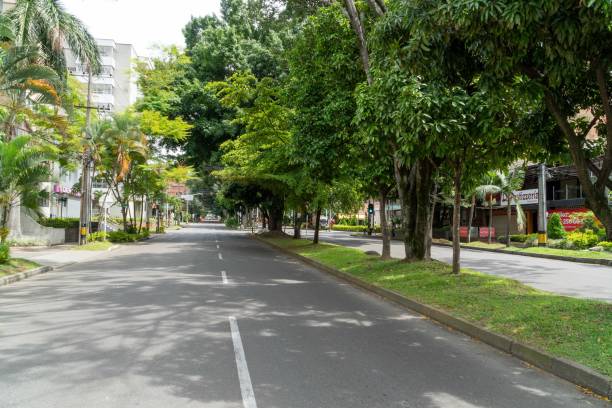 istock Landscape with green corridor in the city. 1317532094