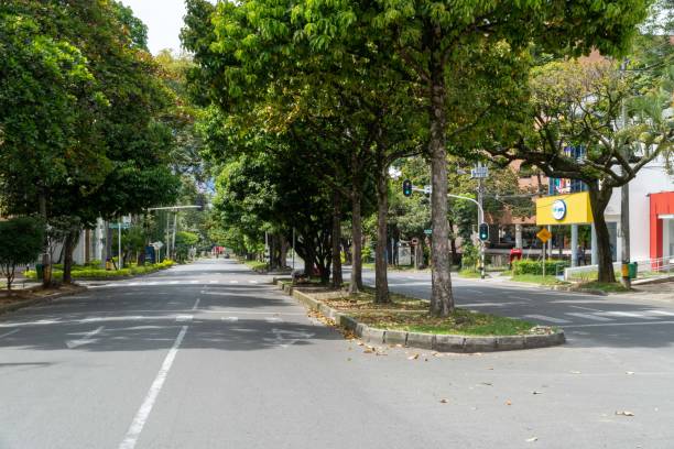 istock Landscape with green corridor in the city. 1317532096