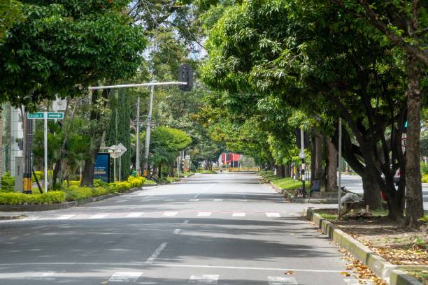 istock Landscape with green corridor in the city. 1317532098