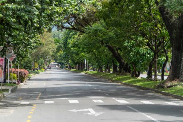 istock Landscape with green corridor in the city. 1317532099