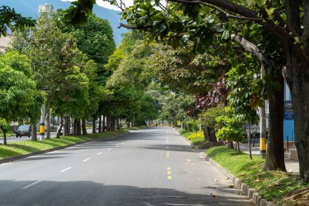 istock Landscape with green corridor in the city. 1317532608