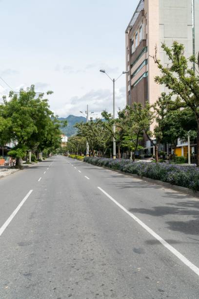istock Green corridor on 33rd avenue with sky. 1317532790