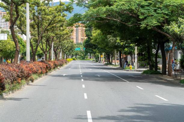 istock Green corridor on 33rd avenue with sky. 1317532791