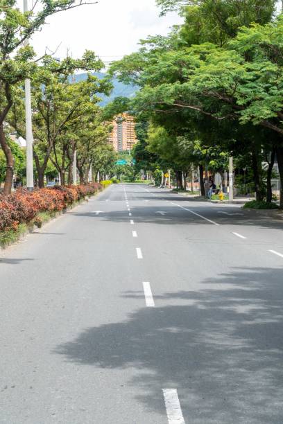 istock Green corridor on 33rd avenue with sky. 1317532800
