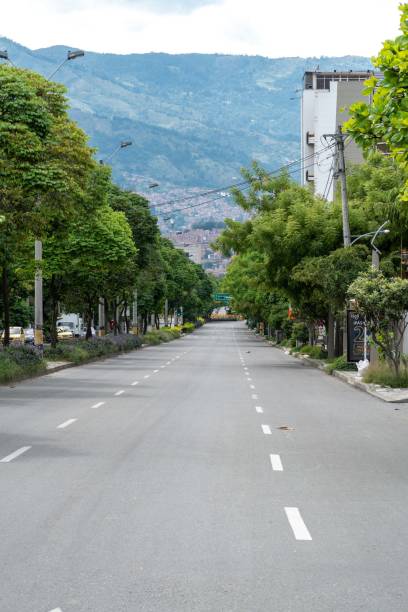 istock Green corridor on 33rd avenue with sky. 1317532835