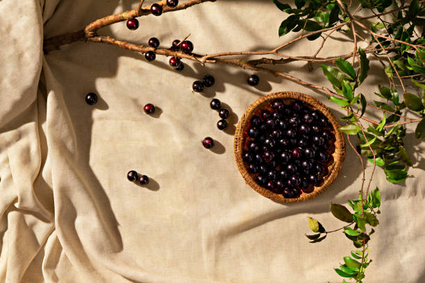 Jabuticaba fruits on a fabric base, with jabuticaba branch, sunlight, top view. Copy space