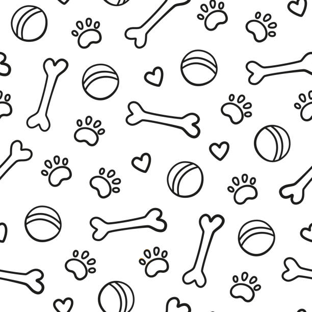 ilustraciones, imágenes clip art, dibujos animados e iconos de stock de patrón sin costuras con cabezas de diferentes razas perros. corgi, beagle, chihuahua, terrier, pomerania - hueso
