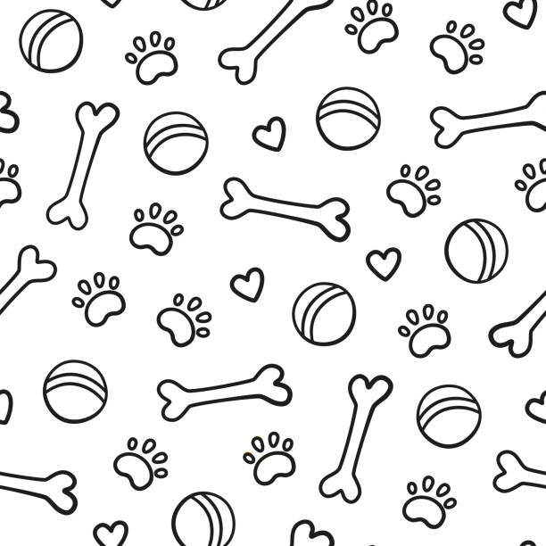 Seamless pattern with heads of different breeds dogs. Corgi, Beagle, Chihuahua, Terrier, Pomeranian Seamless dog pattern with bones, paw prints, balls and hearts. Dog texture. Hand drawn vector illustration in doodle style on white background bone stock illustrations