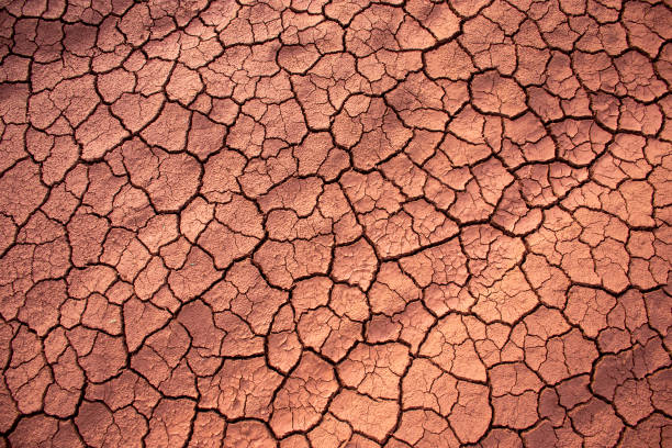 textura com solo seco e rachado - cracked dirt clay desert - fotografias e filmes do acervo