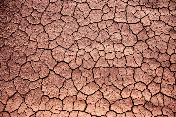 istock texture with dry and cracked soil 1317541030