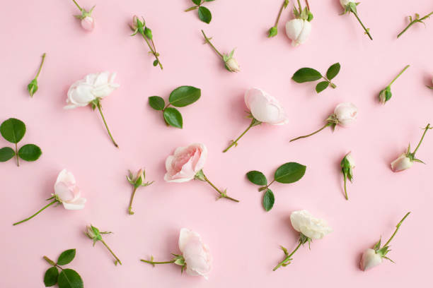 istock Scattered pink rose flowers on pastel background. pattern. 1317542602