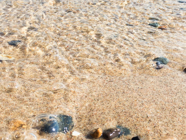 istock surf on the beach, sandy beach with pebbles 1317544337