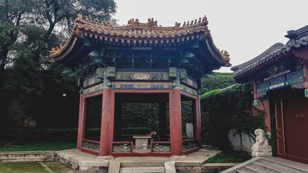 istock Beijing - A man sleeping while leaning against a table in a small pavilion in the nearby of Forbidden City in Beijing, China 1317554677