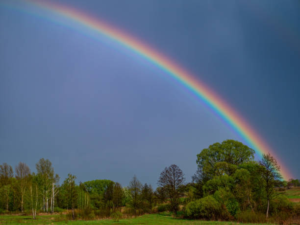 istock Rainbow with rain clouds in the sky. 1317557299