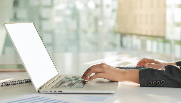 istock Business women work on laptops and analyze graphs in the office 1317559247