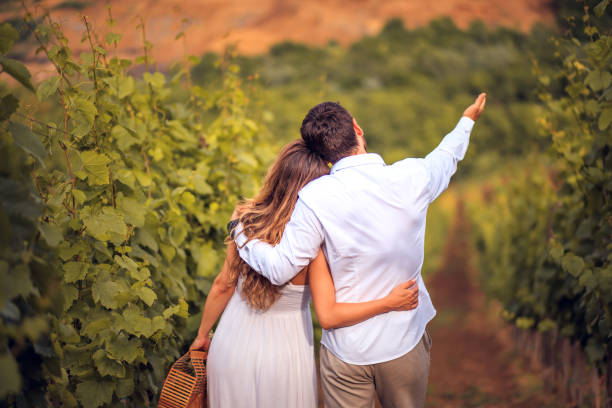 istock Couple standing and talking in vineyard.  This is my vineyard. 1317560116