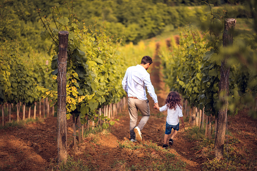 Father and son walk through the vineyard.