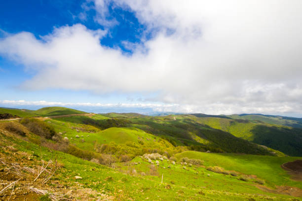 istock Mountain landscape in Georgia 1317561265