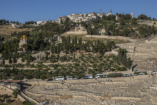 The Mount of Olives is a mountain ridge east of and adjacent to Jerusalem's Old City.It is named for the olive groves that once covered its slopes.