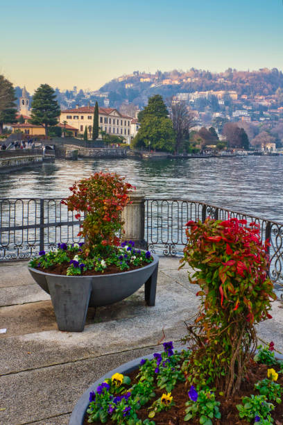 istock Como lake's view in the winter season 1317568095