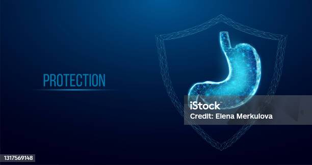 Tummy Protection Animation Human Stomach Protection Wireframe Low Poly Style Concept For Medical ...