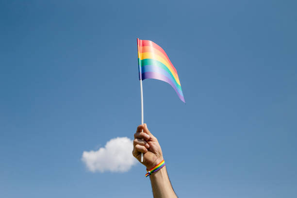istock Gay flag with the sky in the background 1317569308
