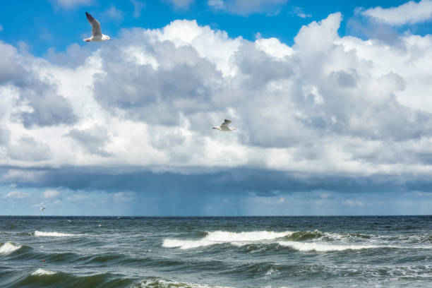Atmospheric scenery Dramatic Baltic sea, waves and water splashes on breakwaters. Nature north cloudscape on coast ocean. Environment with fickle weather, climate change. Stormy, abstract backgrounds