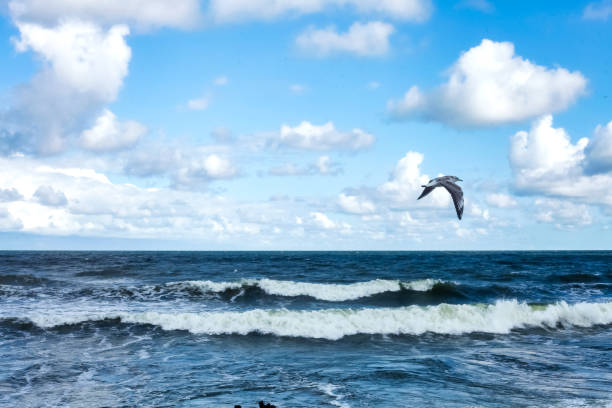 Atmospheric scenery Dramatic Baltic sea, waves and water splashes on breakwaters. Nature north cloudscape on coast ocean. Environment with fickle weather, climate change. Stormy, abstract backgrounds