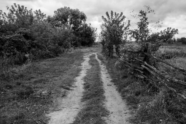 흑백으로 마을을 산책 - dirt road national park south downs footpath 뉴스 사진 이미지