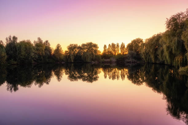 istock Landscape lake during beautiful sunset 1317570370