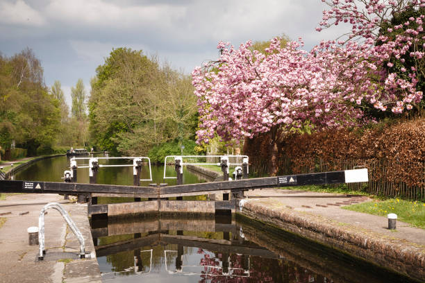 istock Canal lock, London green belt, UK 1317571017