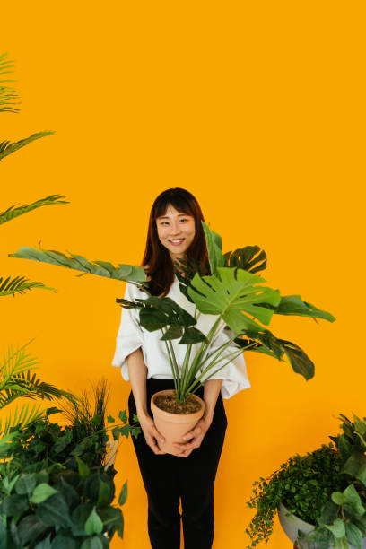 istock I love my lush foliage 1317571512