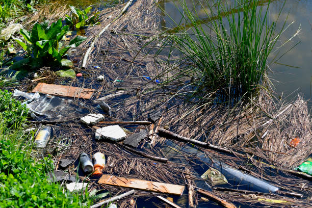 istock environmental pollution in a pond in Germany 1317572268