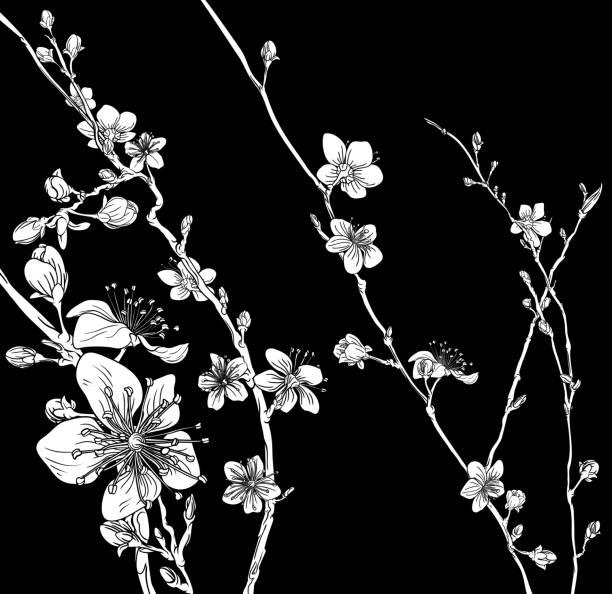 Blossom Japanese Sakura Cherry Flower Print A Japanese cherry peach blossom sakura flower print pattern background design fruit tree flower sakura spring stock illustrations