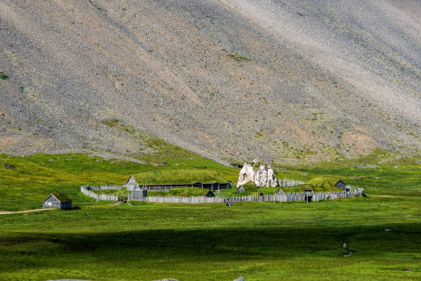 istock Vikings village in iceland 1317575168
