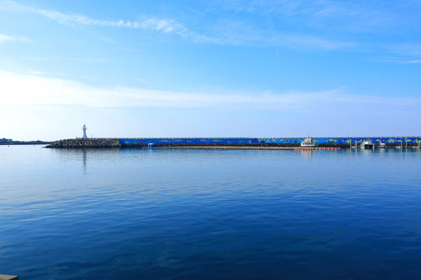 istock fog, pier, seawall, lighthouse, sea, ship, fence, 1317575177