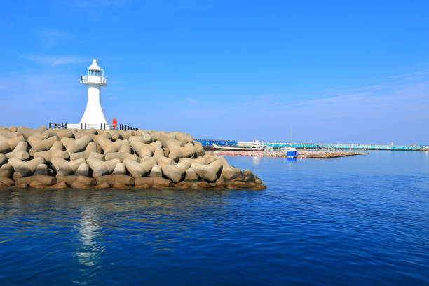istock fog, pier, seawall, lighthouse, sea, ship, fence, 1317575209