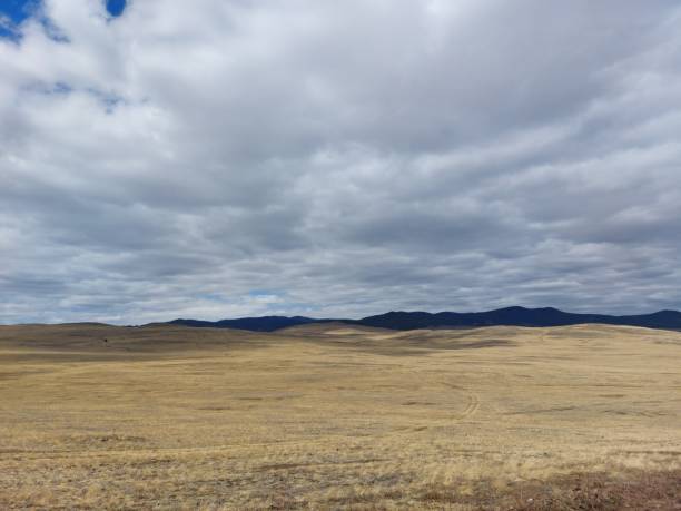 istock Spring valley view and mountains on horizon under Blue Sky and white fluffy clouds 1317575822