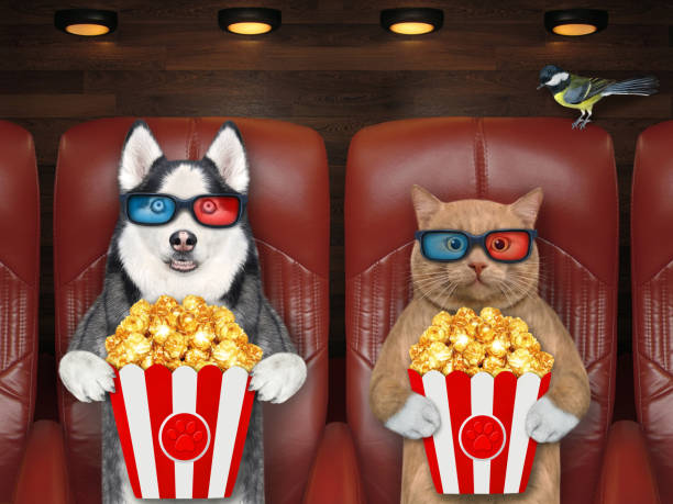 istock Cat and husky in 3d glasses eat popcorn 1317578839