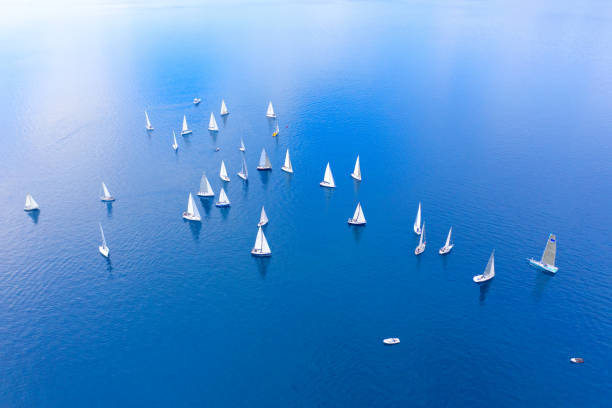 istock Regattas in Rijeka 1317580204