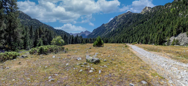 istock Beautiful Pyrenees mountain landscape from Spain, Catalonia. 1317580462