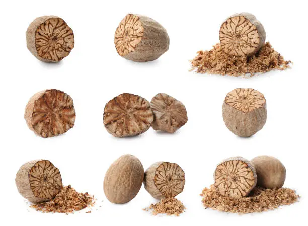Set with nutmeg seeds on white background